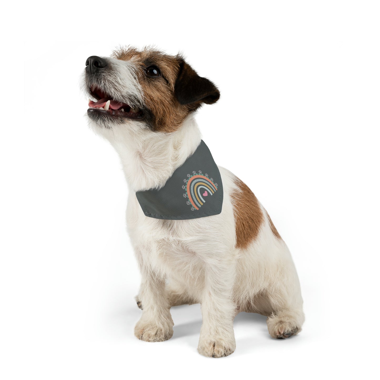 Pawsome Rainbow Pet Collar Bandana (dark grey)
