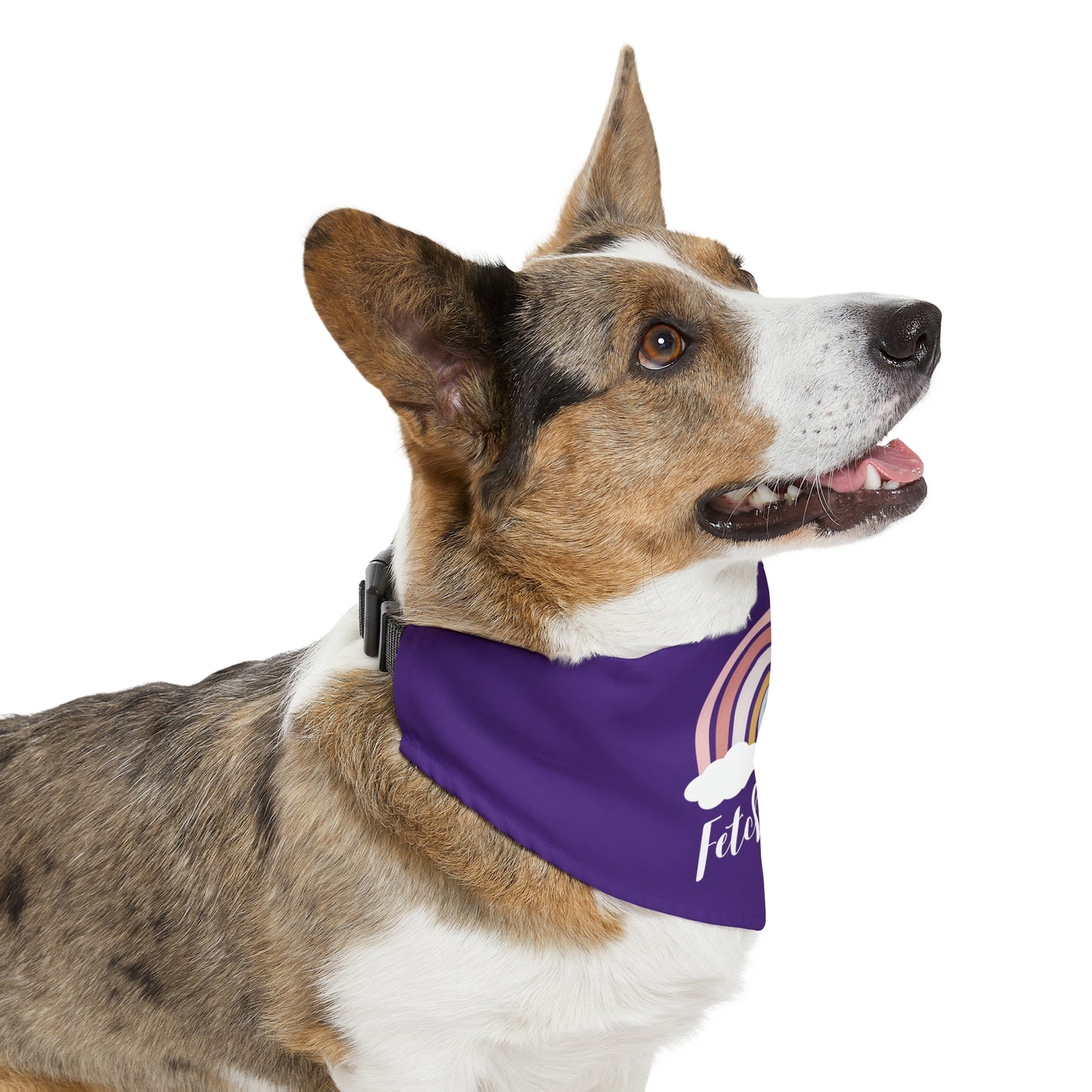 Rainbow Fetch Off Collar Bandana (dark purple)