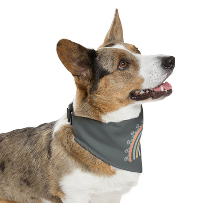 Pawsome Rainbow Pet Collar Bandana (dark grey)