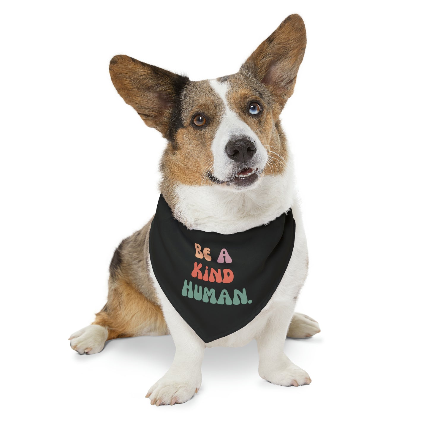 Kind Human Pet Collar Bandana (black)