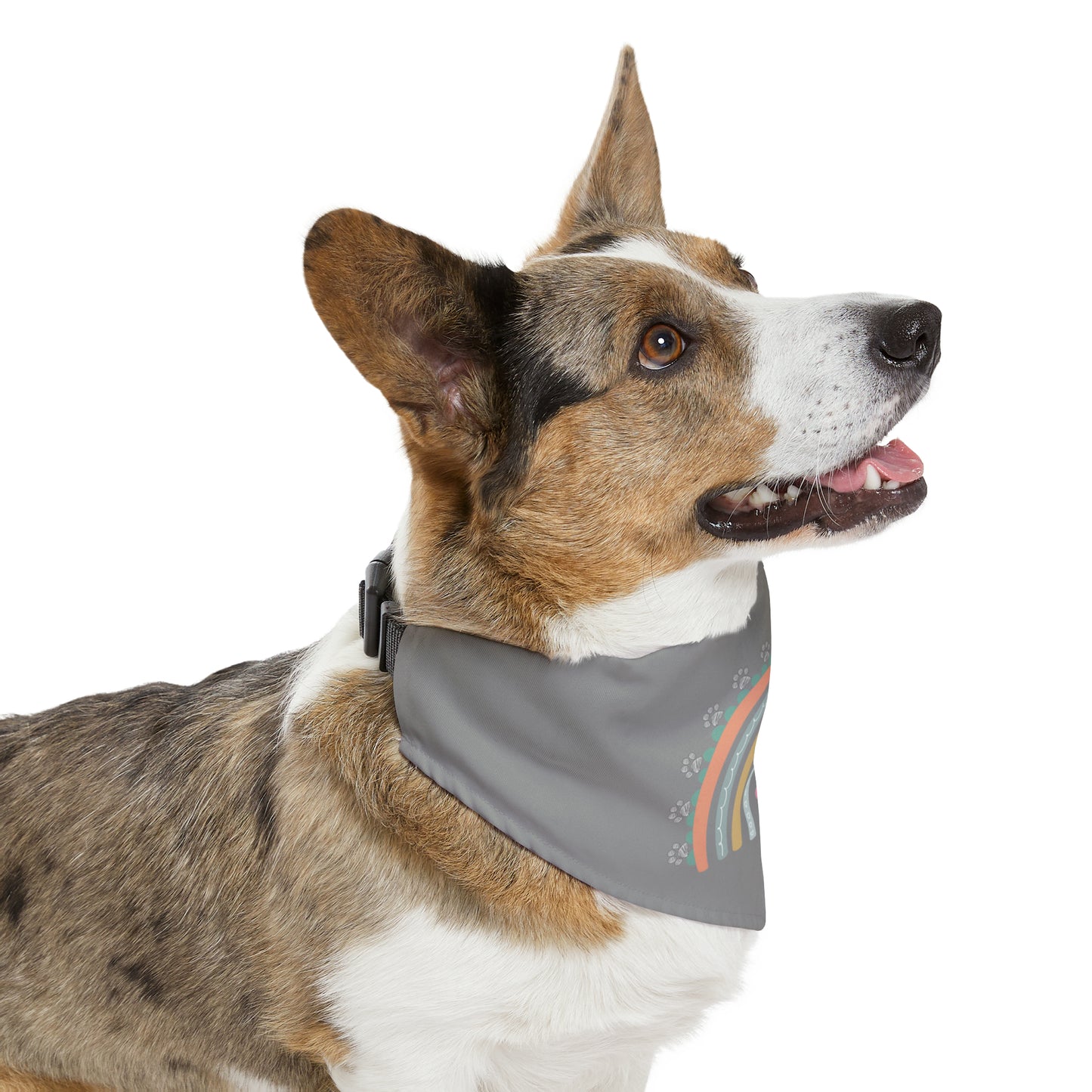 Pawsome Rainbow Pet Collar Bandana (grey)