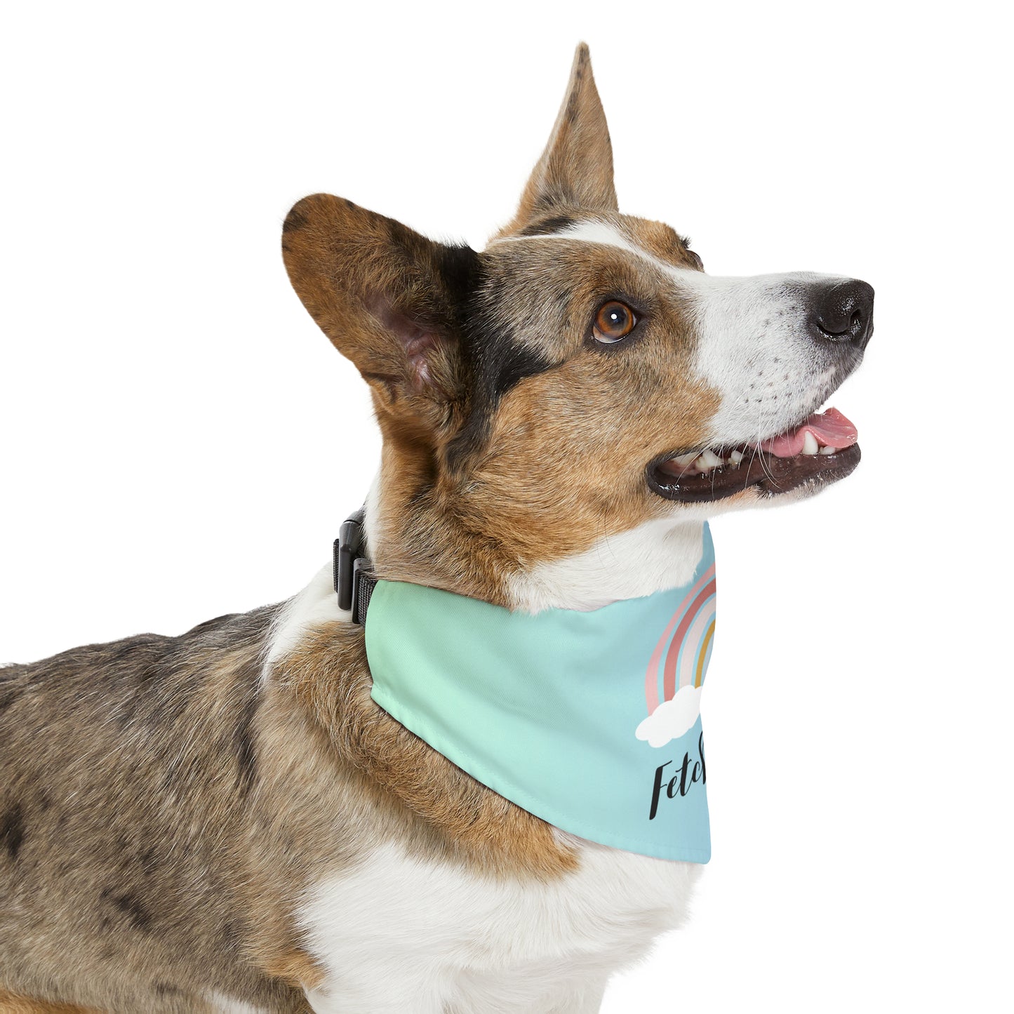 Rainbow Fetch Off Pet Collar Bandana (blue/green)