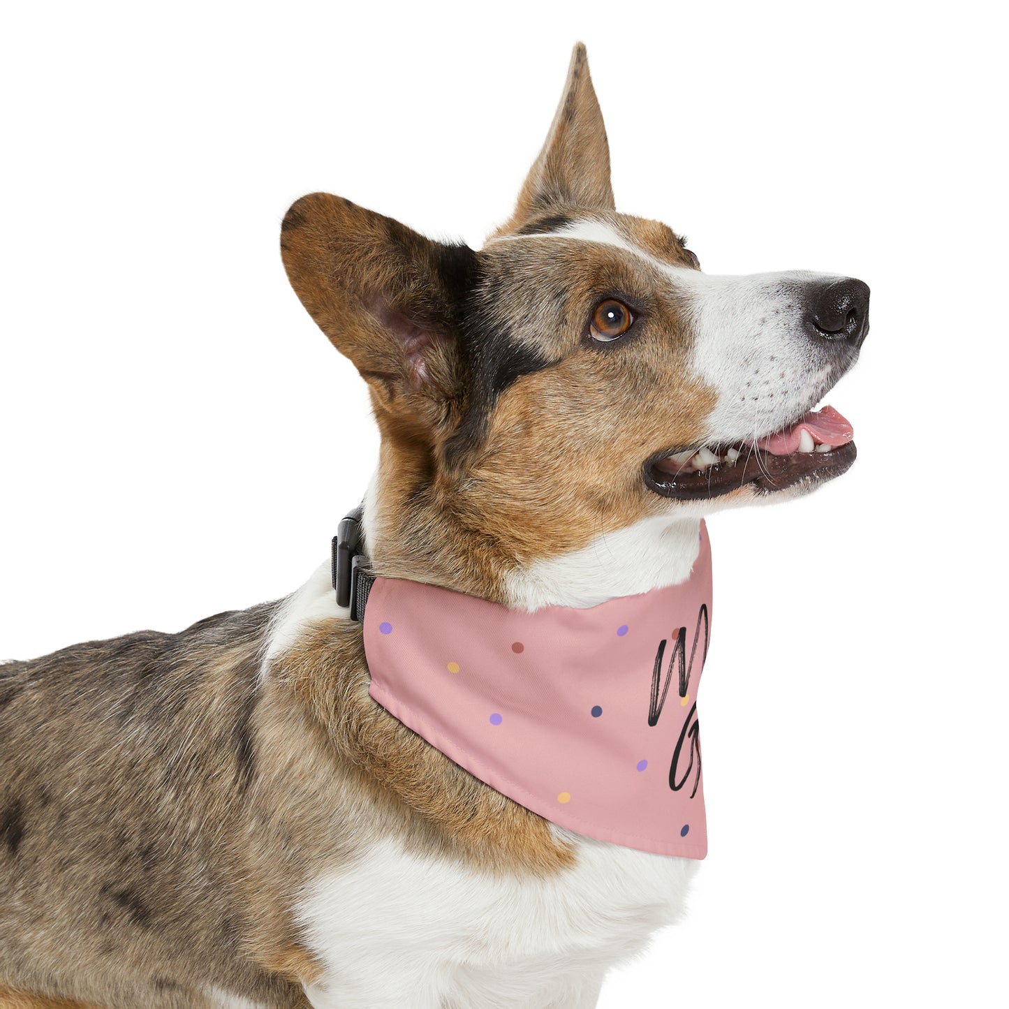 Mean Girl Pet Collar Bandana (pink)