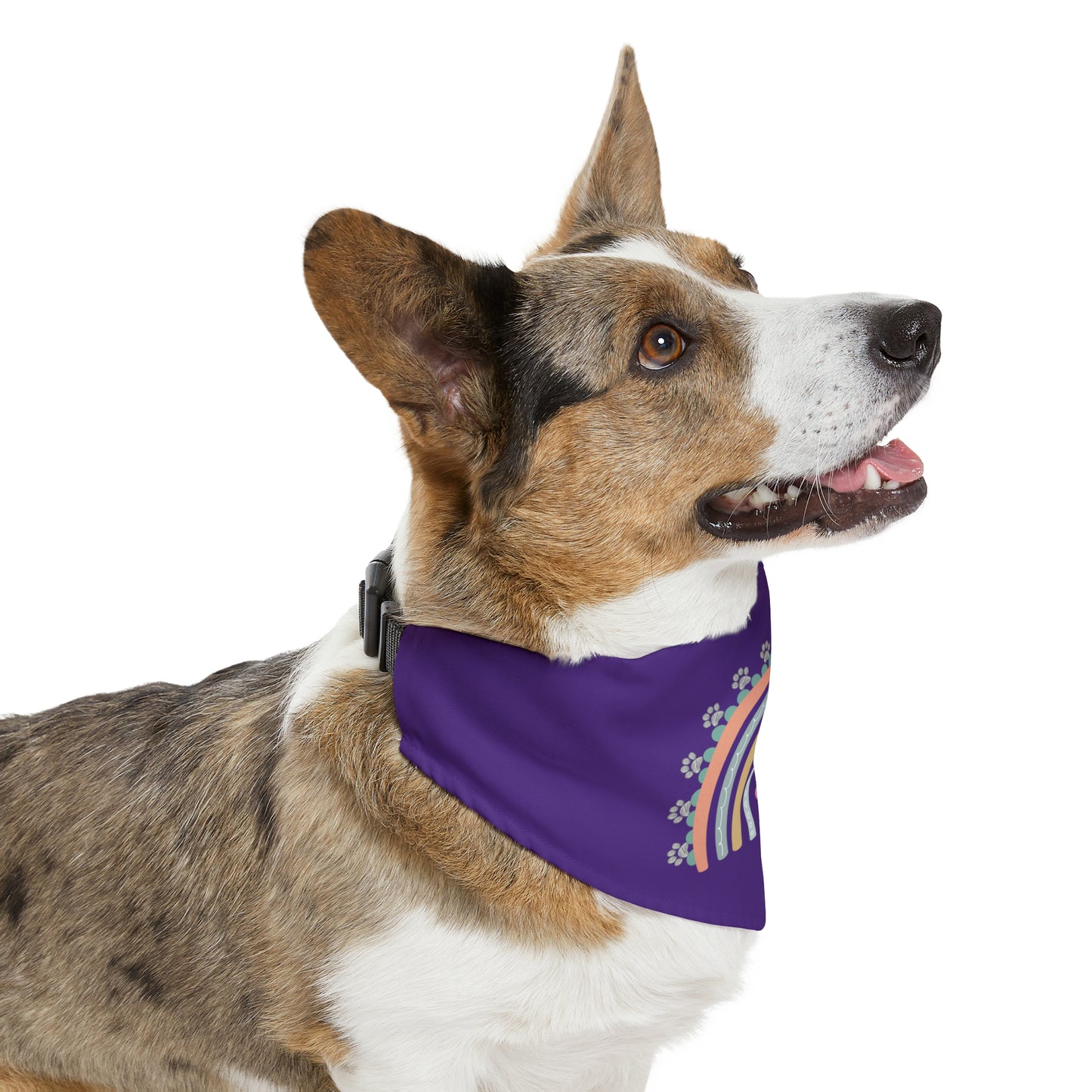 Pawsome Rainbow Pet Collar Bandana (dark purple)