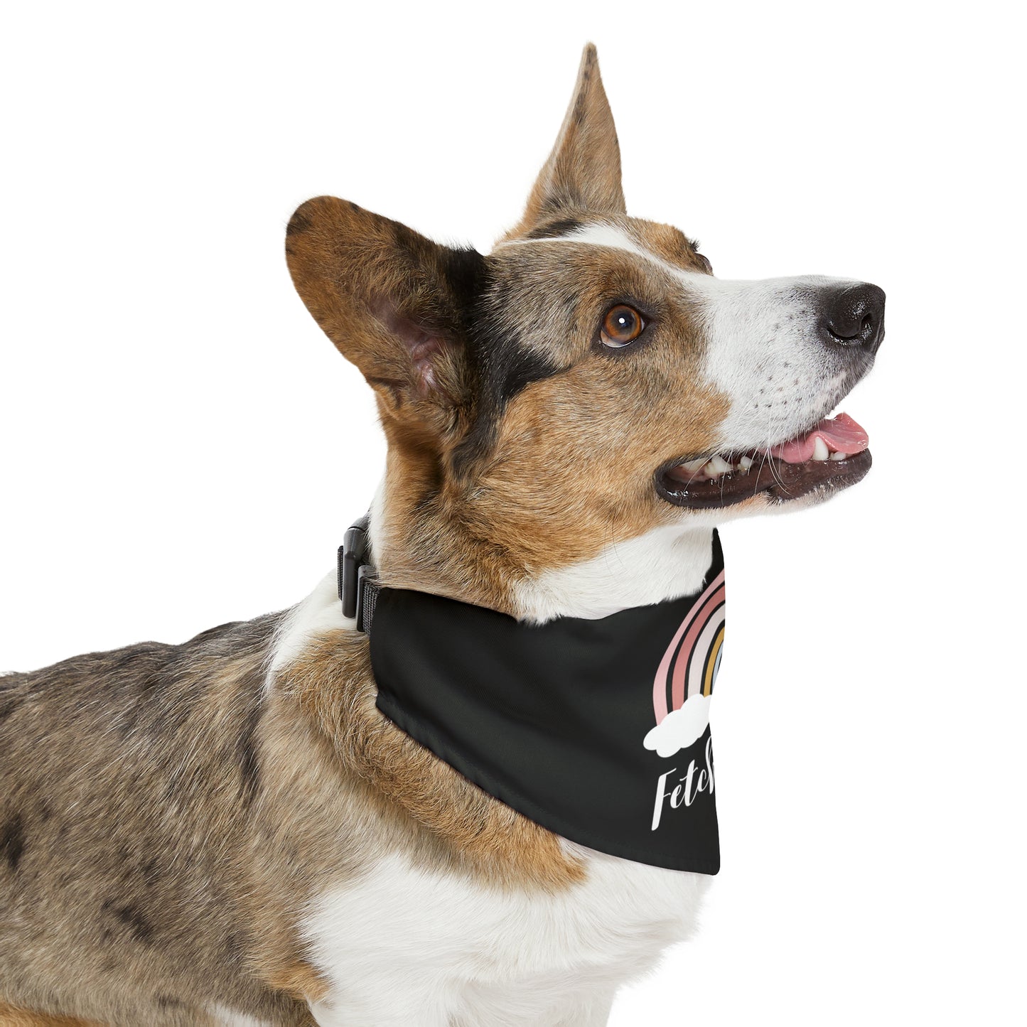 Rainbow Fetch Off Collar Bandana (black)