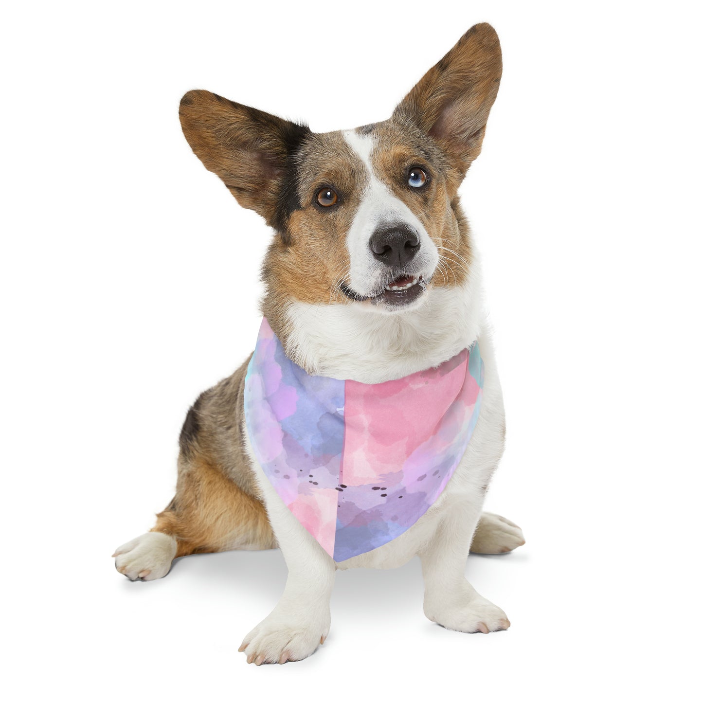 Watercolor Pet Collar Bandana