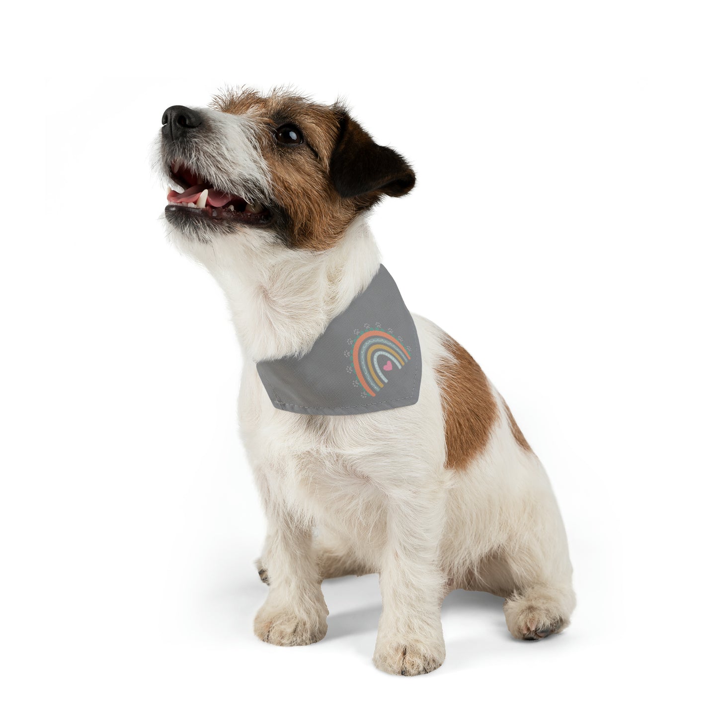 Pawsome Rainbow Pet Collar Bandana (grey)