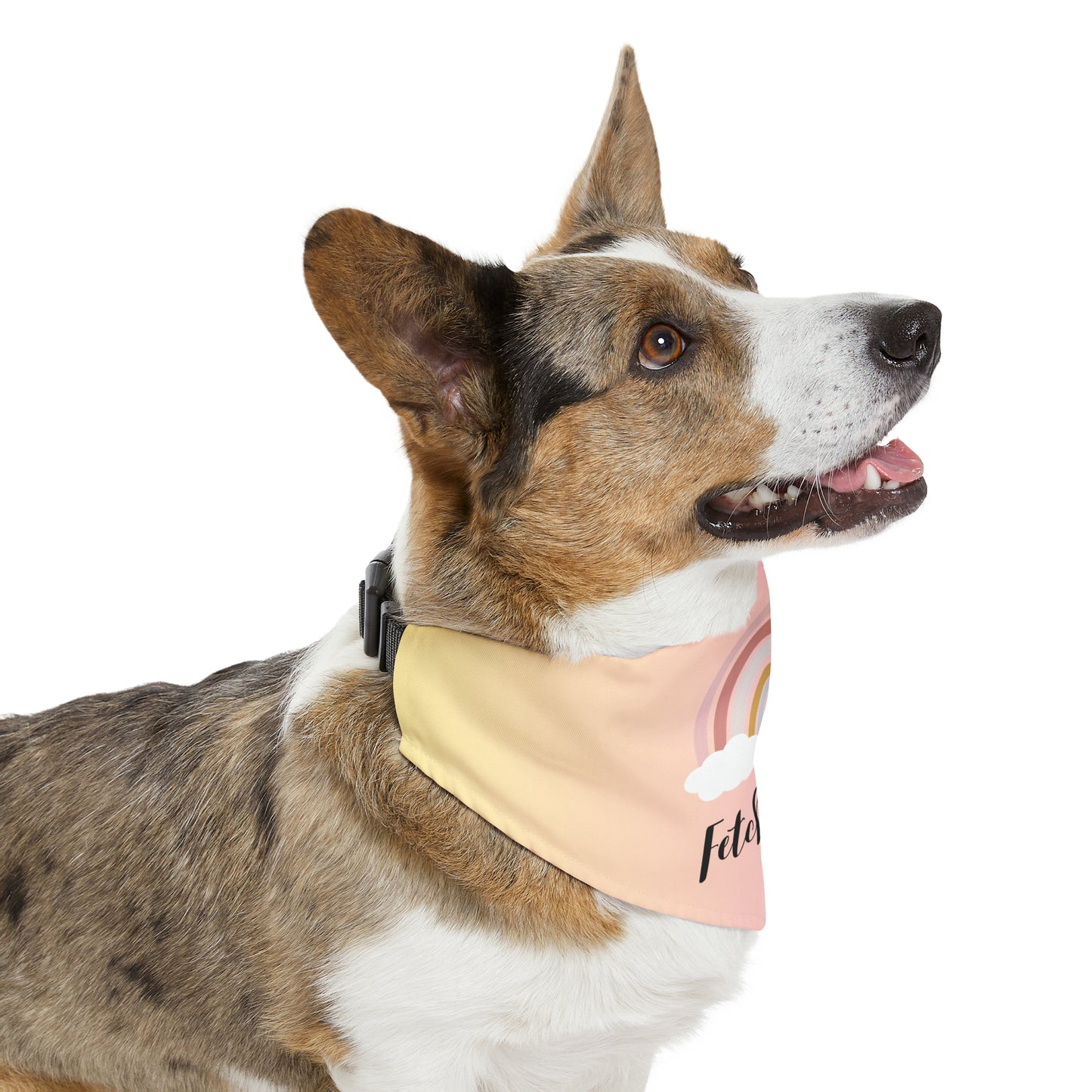 Rainbow Fetch Off Collar Bandana (pink/yellow)