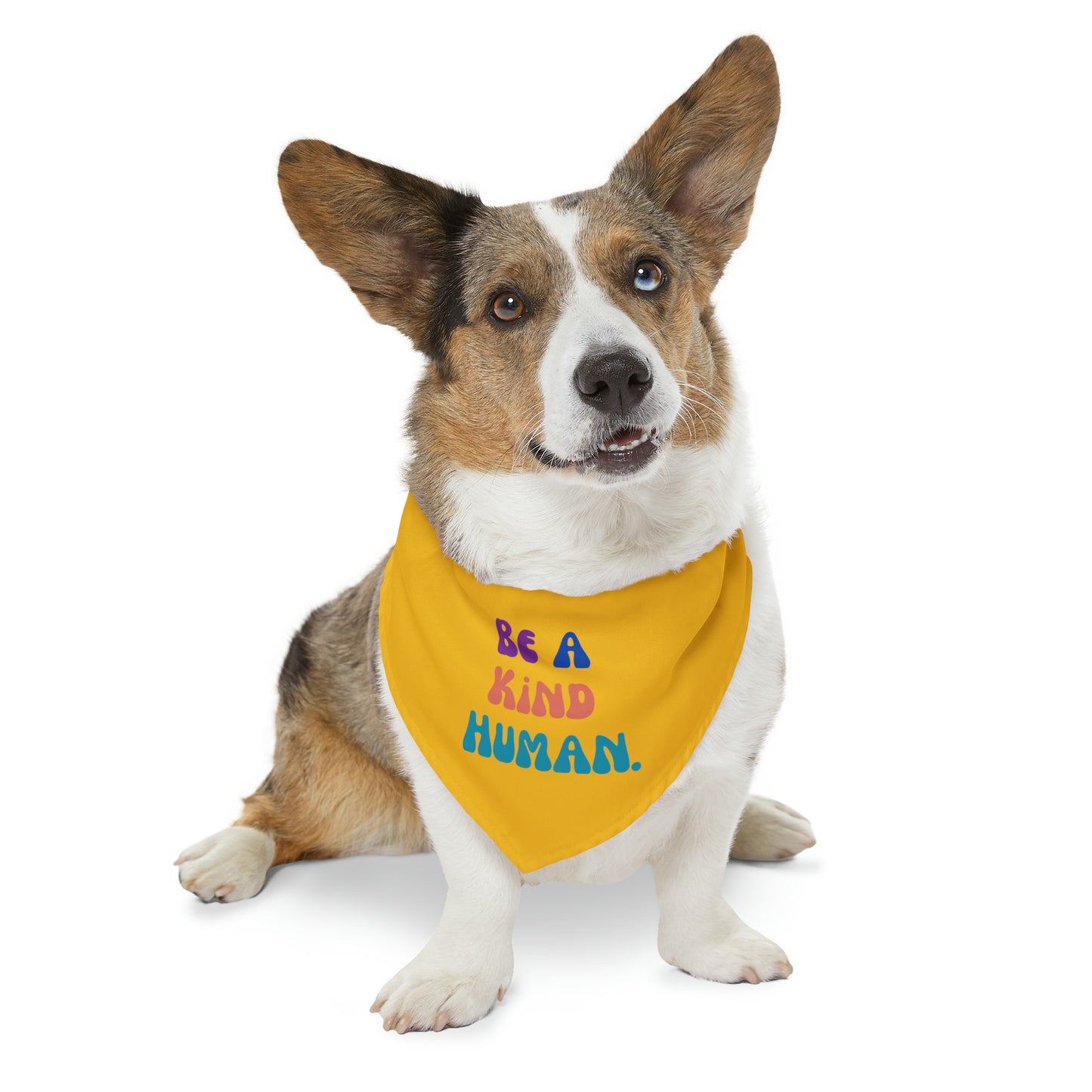 Kind Human Pet Collar Bandana (yellow)