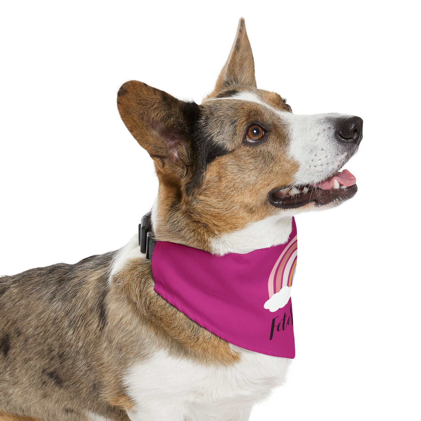 Rainbow Fetch Off Pet Collar Bandana (magenta)