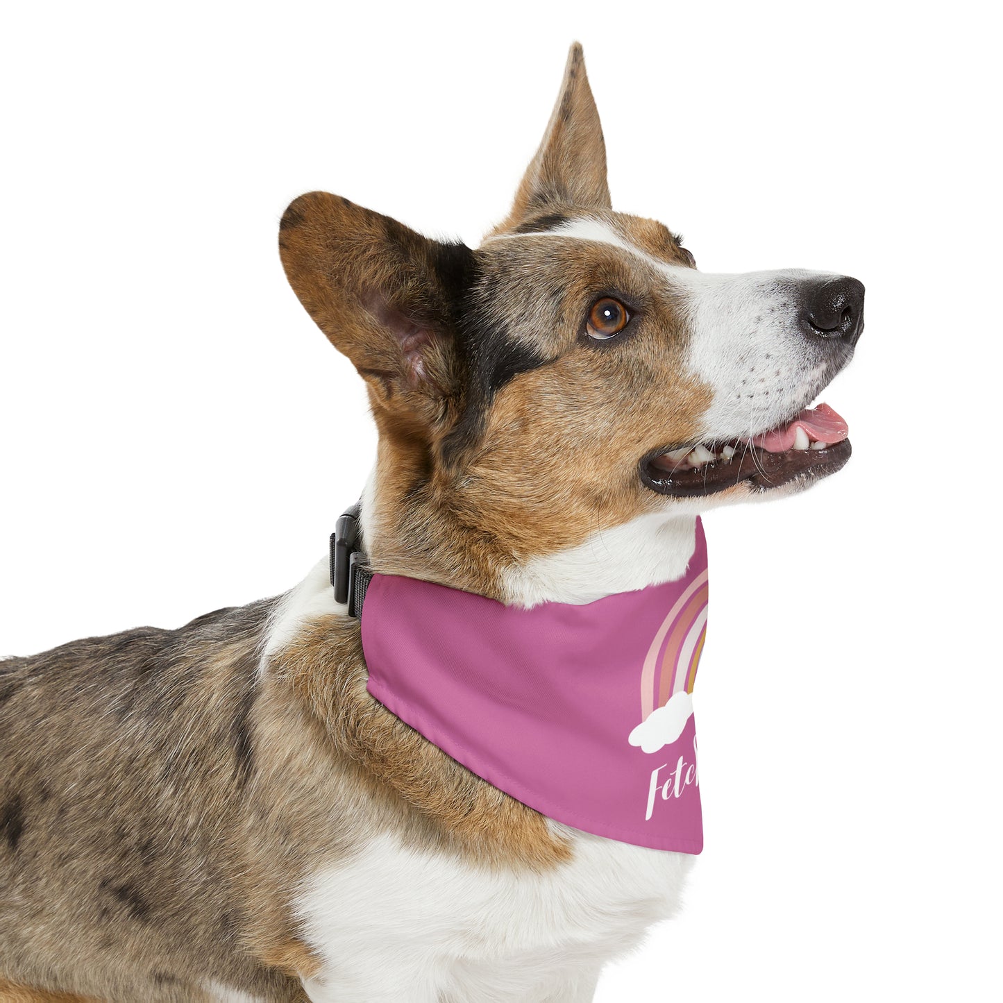 Rainbow Fetch Off Collar Bandana (pink)