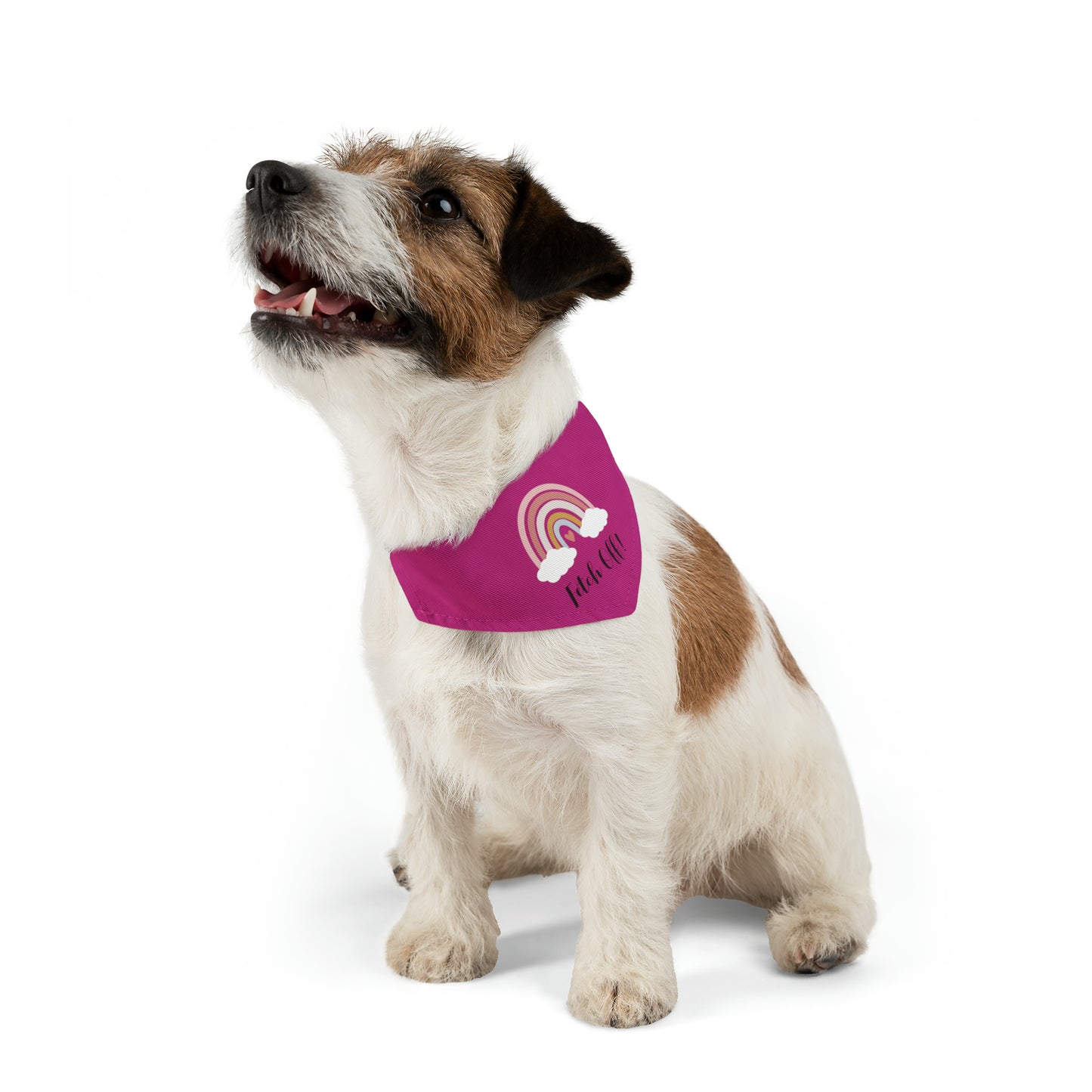 Rainbow Fetch Off Pet Collar Bandana (magenta)