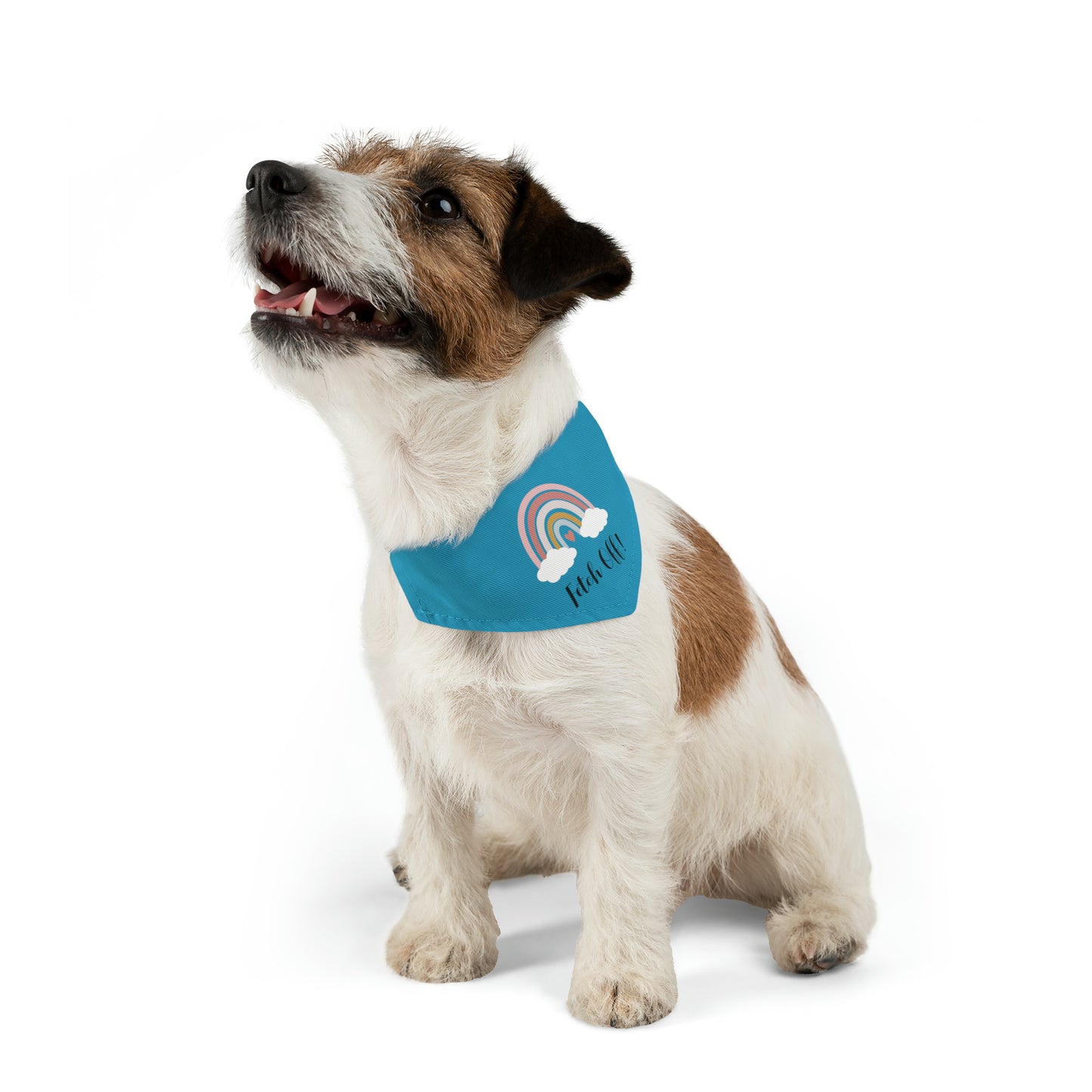 Rainbow Fetch Off Collar Bandana (turquoise)