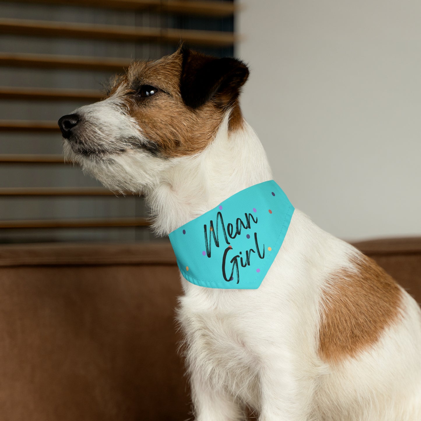 Mean Girl Pet Collar Bandana (teal)