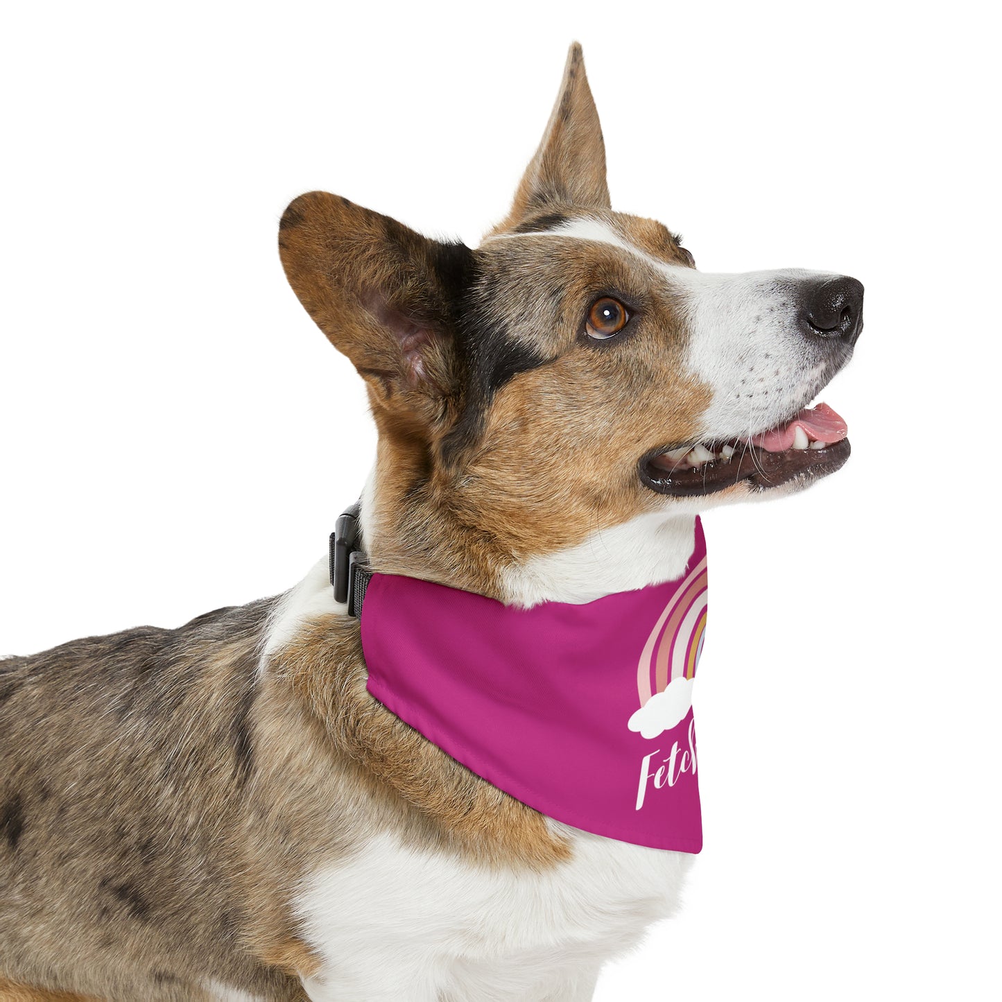 Rainbow Fetch Off Collar Bandana (magenta)