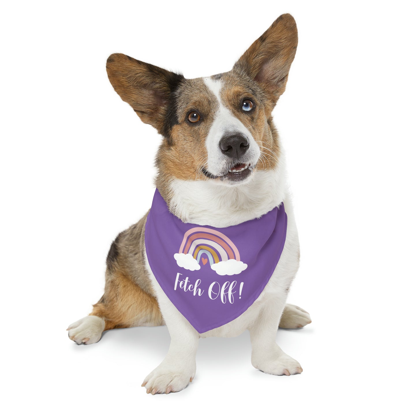 Rainbow Fetch Off Collar Bandana (purple)