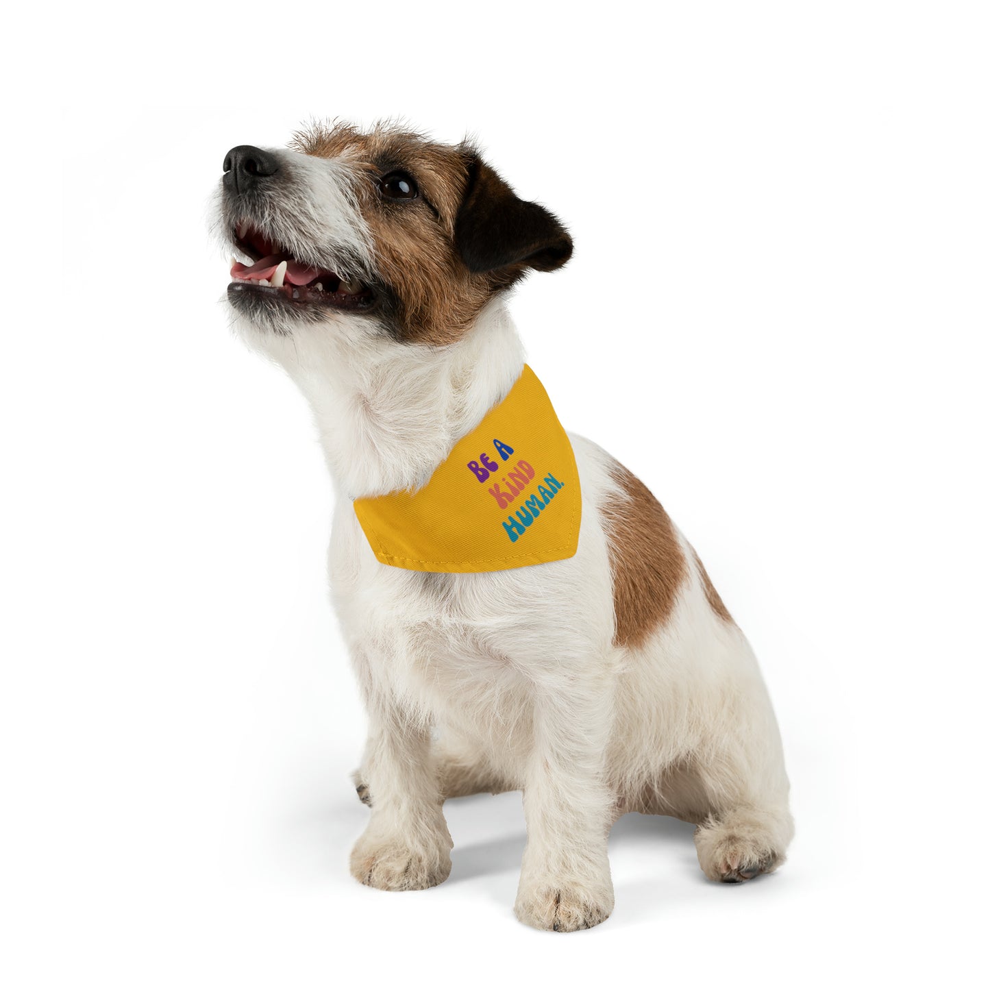 Kind Human Pet Collar Bandana (yellow)