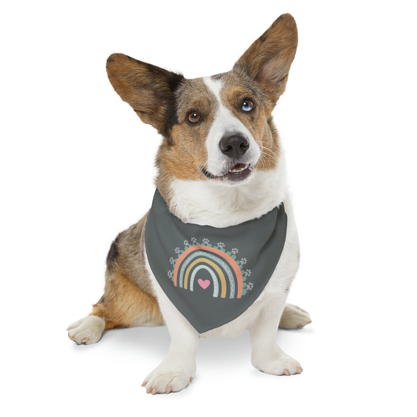 Pawsome Rainbow Pet Collar Bandana (dark grey)