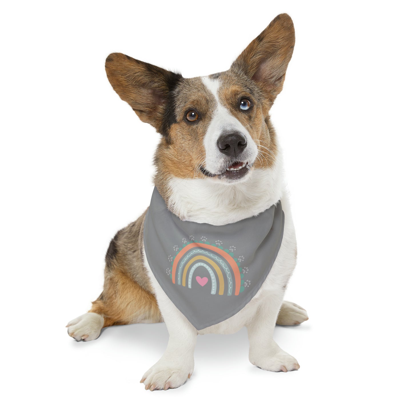 Pawsome Rainbow Pet Collar Bandana (grey)