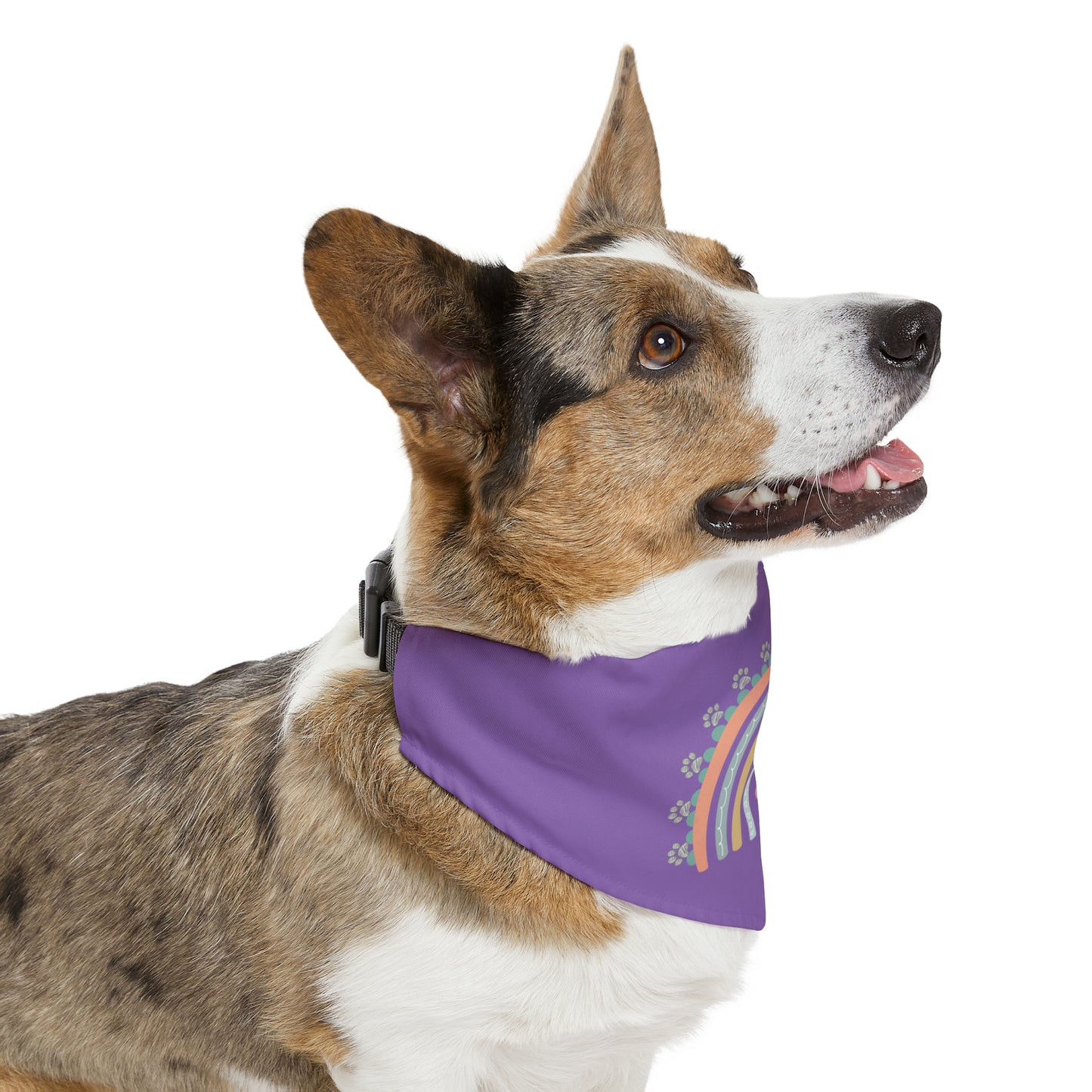 Pawsome Rainbow Pet Collar Bandana (light purple)