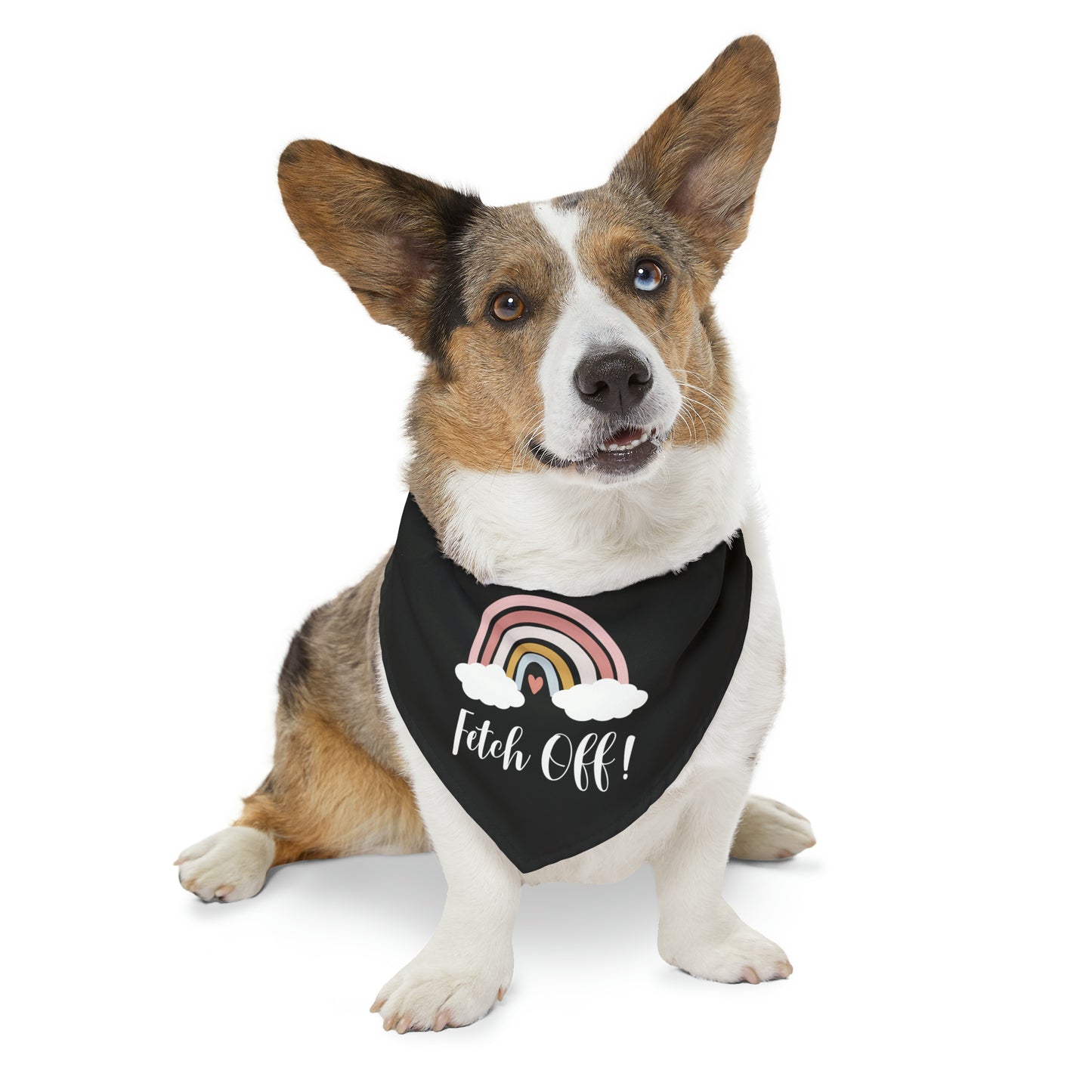 Rainbow Fetch Off Collar Bandana (black)