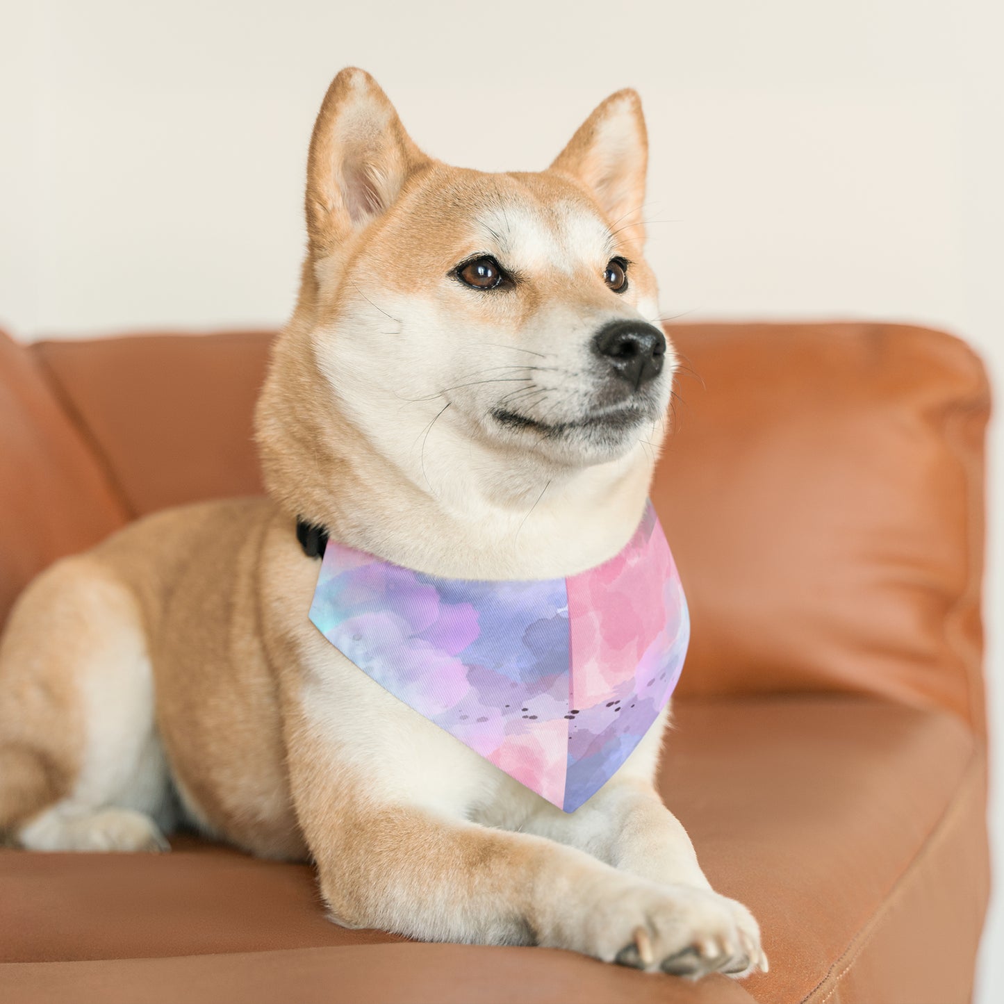 Watercolor Pet Collar Bandana