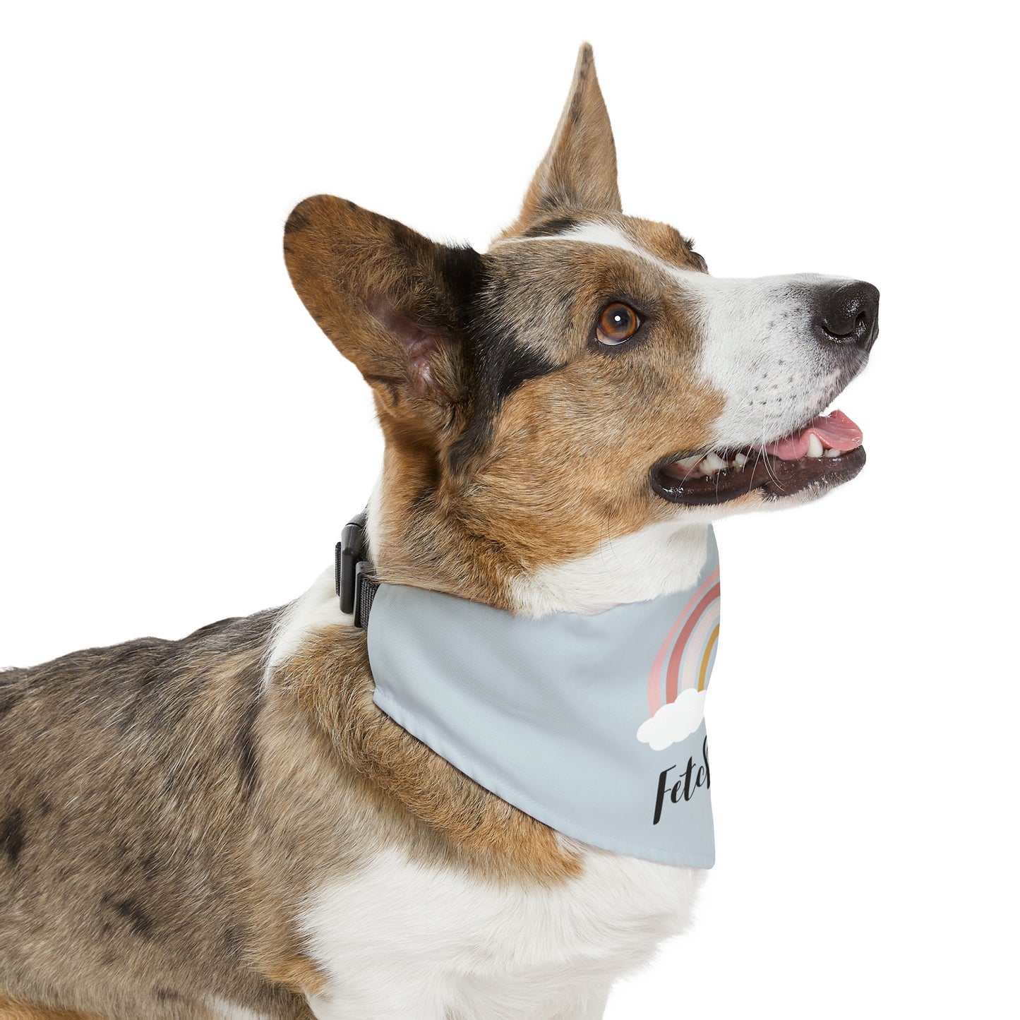 Rainbow Fetch Off Collar Bandana (grey)