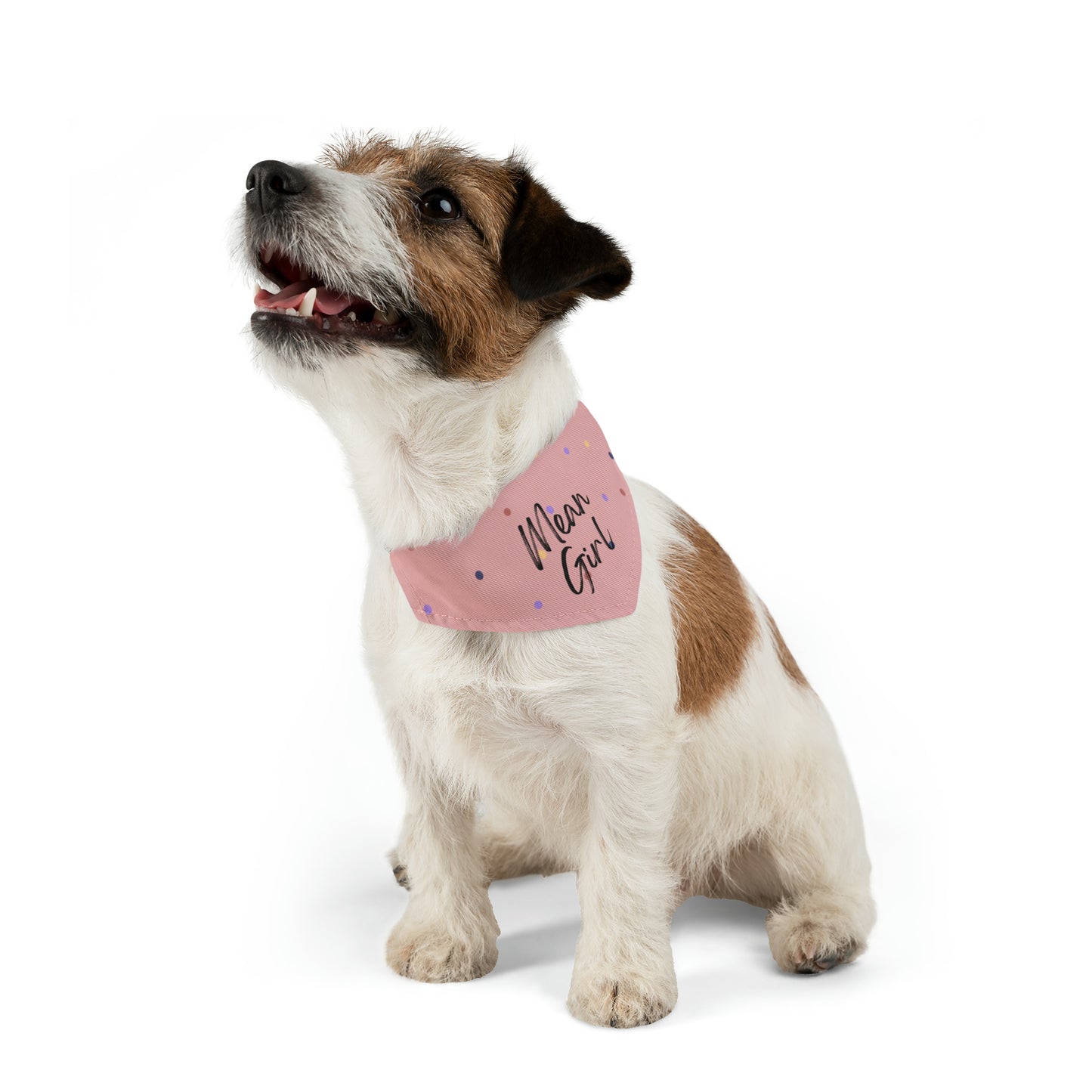 Mean Girl Pet Collar Bandana (pink)