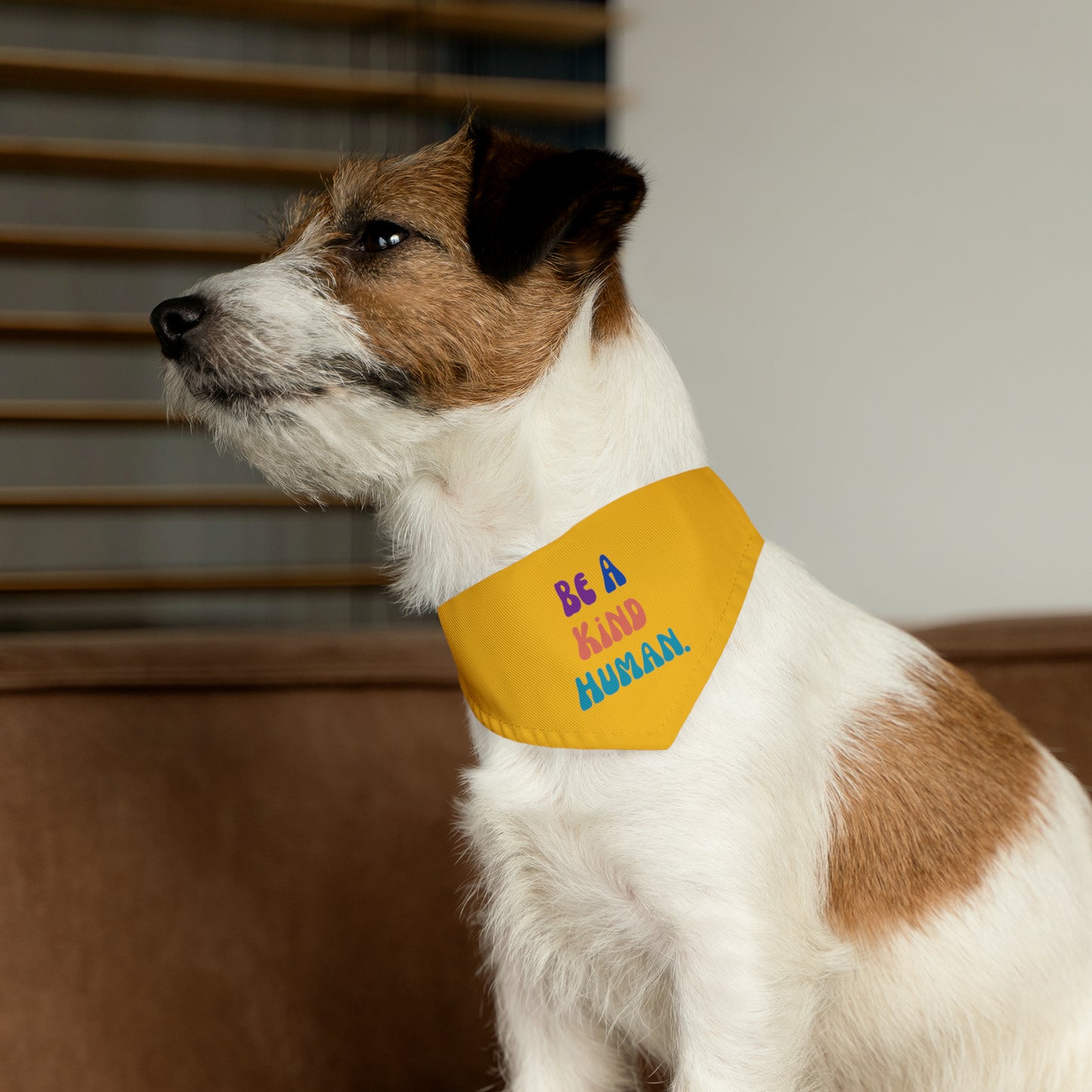 Kind Human Pet Collar Bandana (yellow)