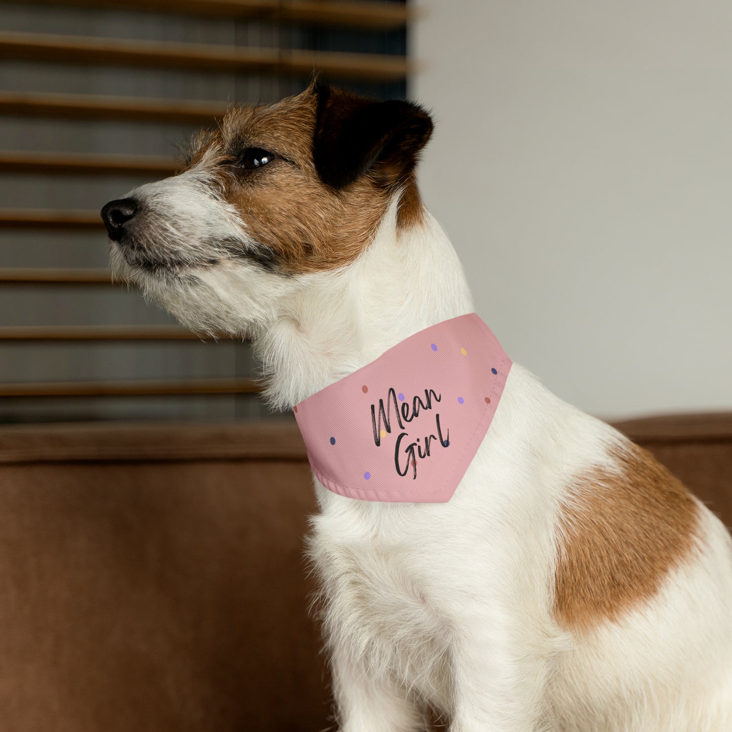 Mean Girl Pet Collar Bandana (pink)