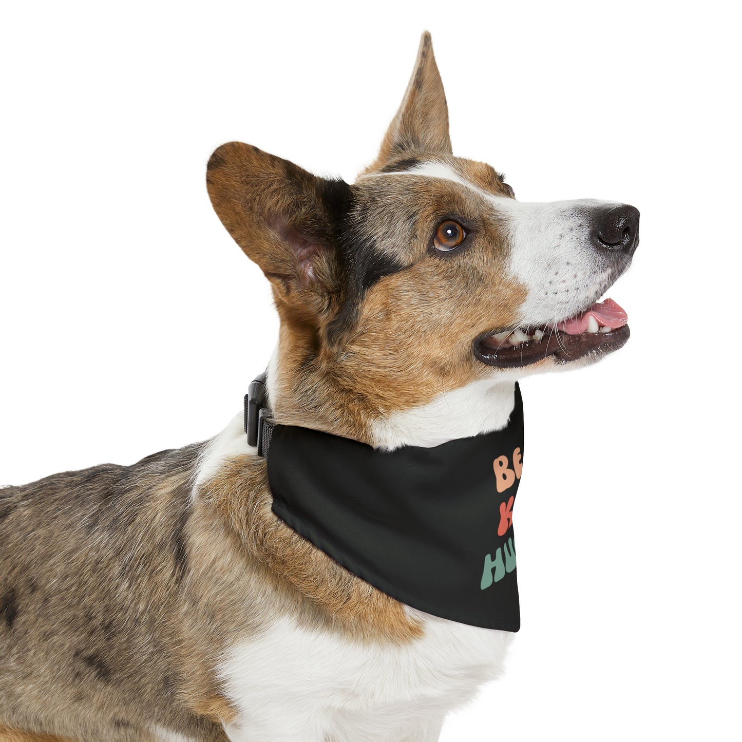 Kind Human Pet Collar Bandana (black)