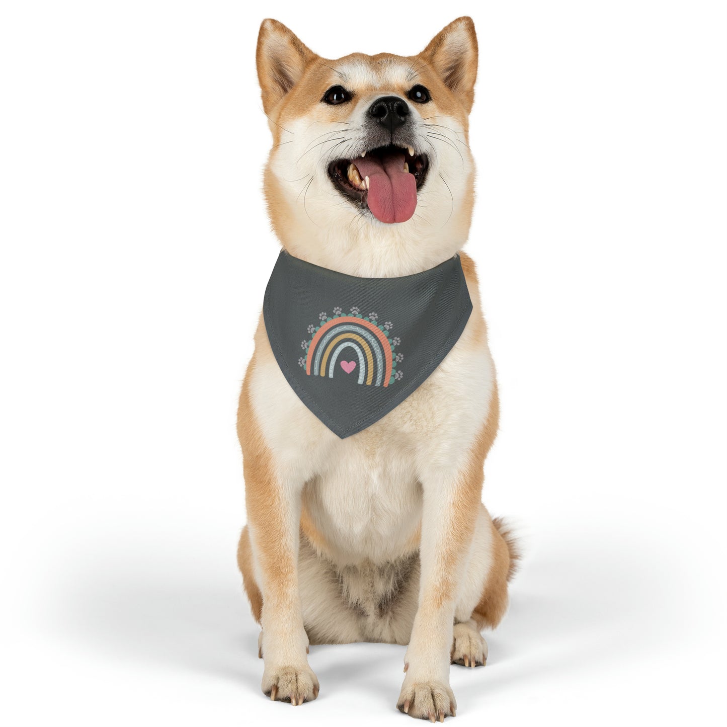 Pawsome Rainbow Pet Collar Bandana (dark grey)